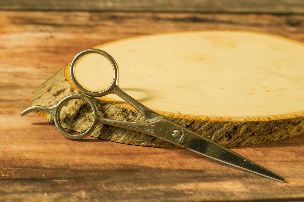 Beard Trimming Scissors